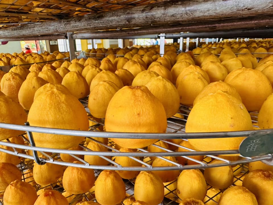 頂級柿餅禮盒12入/一組/冷凍配送(免運)