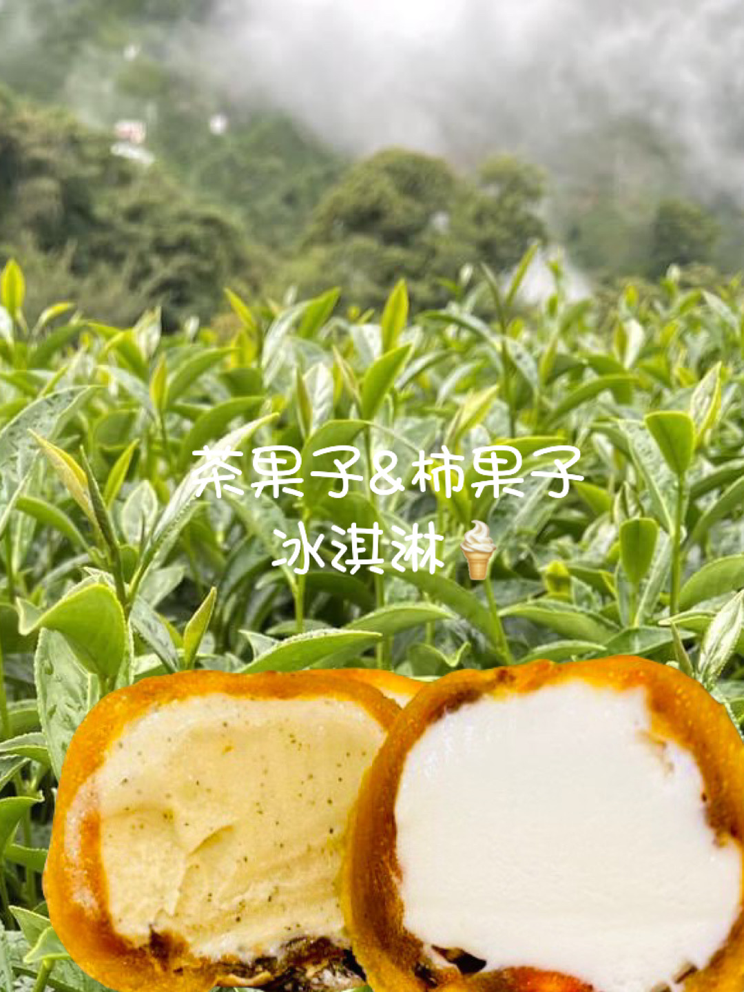 阿里山(柿果子&茶果子)冰淇淋/大禮盒18入(免運)~預計11月底供貨