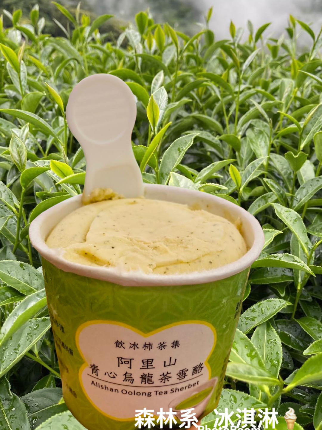 阿里山青心烏龍茶（雪酪）禮盒8入(免運)