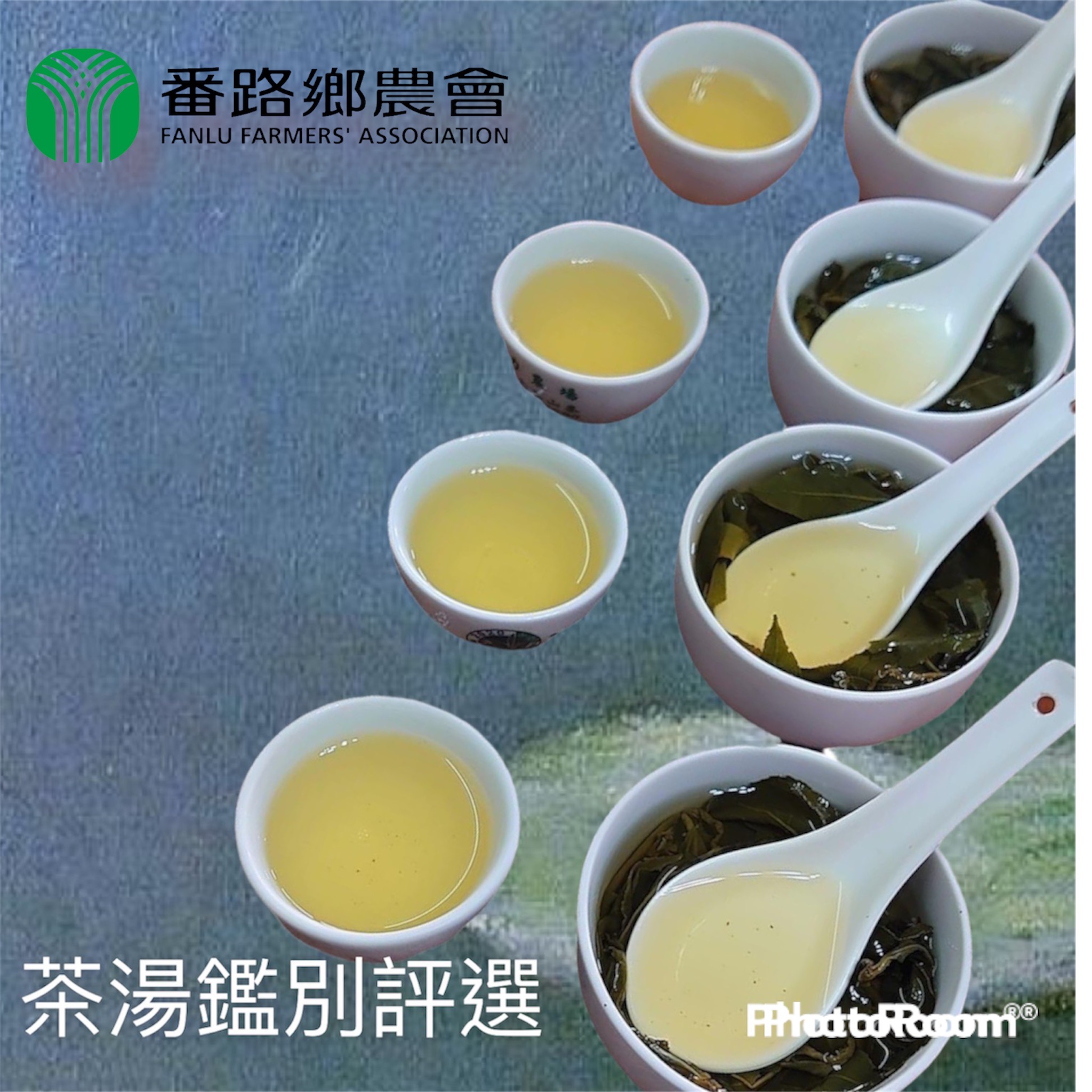 阿里山(春季)手採(烏龍)茶葉/1斤/簡約包裝