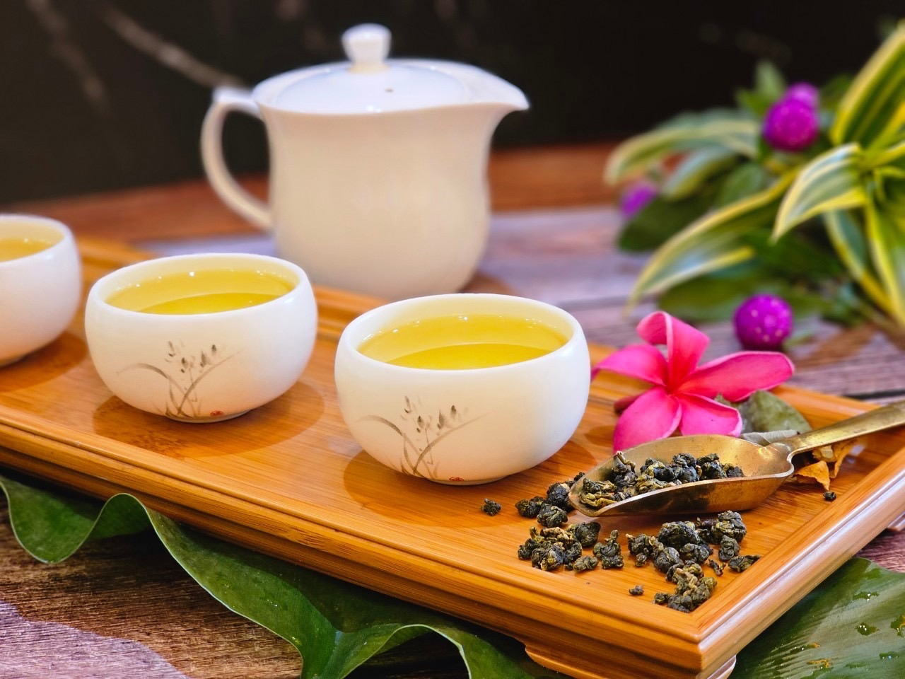 阿里山(秋季)手採(烏龍)茶葉/1斤/簡約包裝