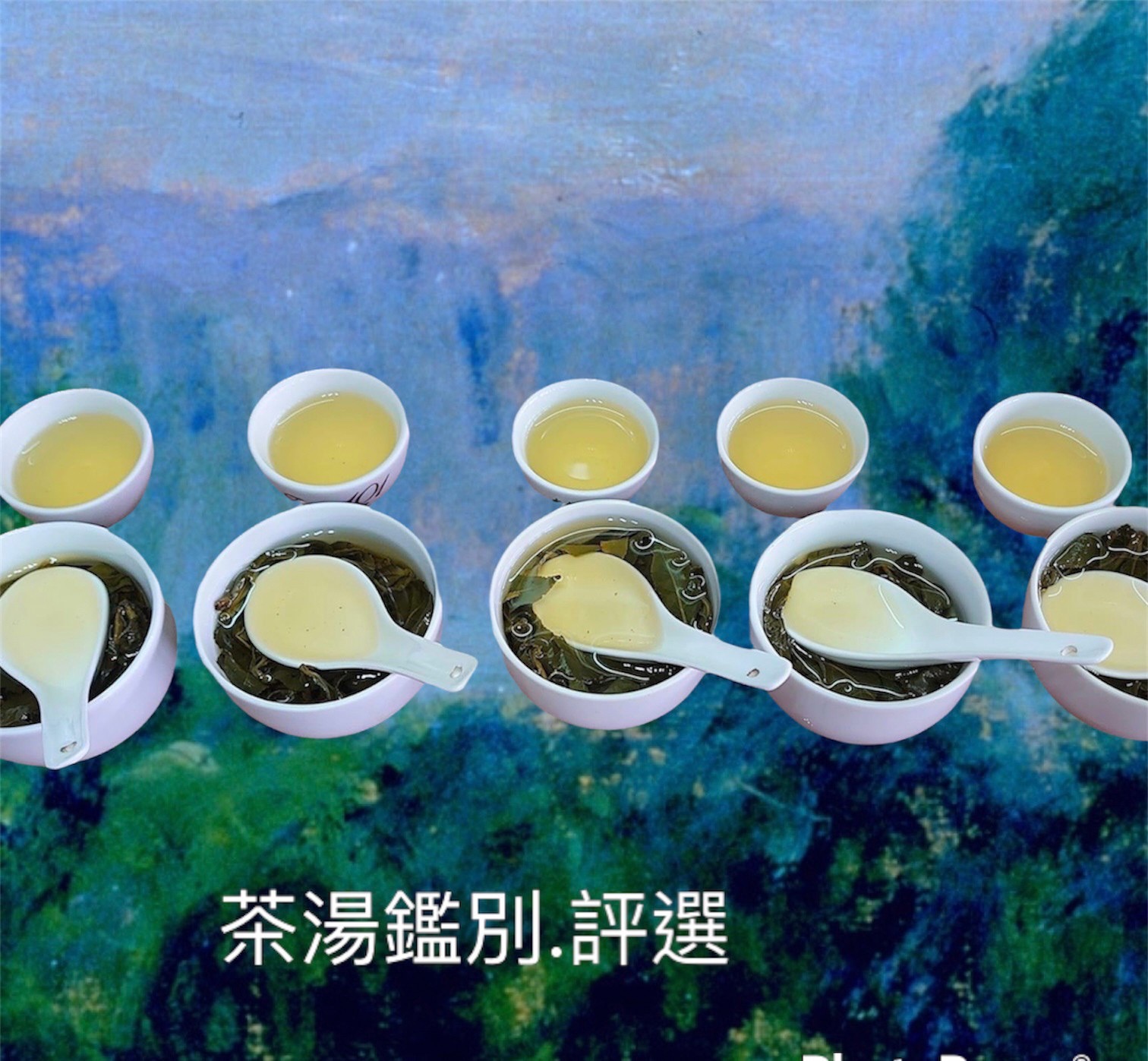 阿里山(秋季)手採(烏龍)茶葉禮盒/1斤裝