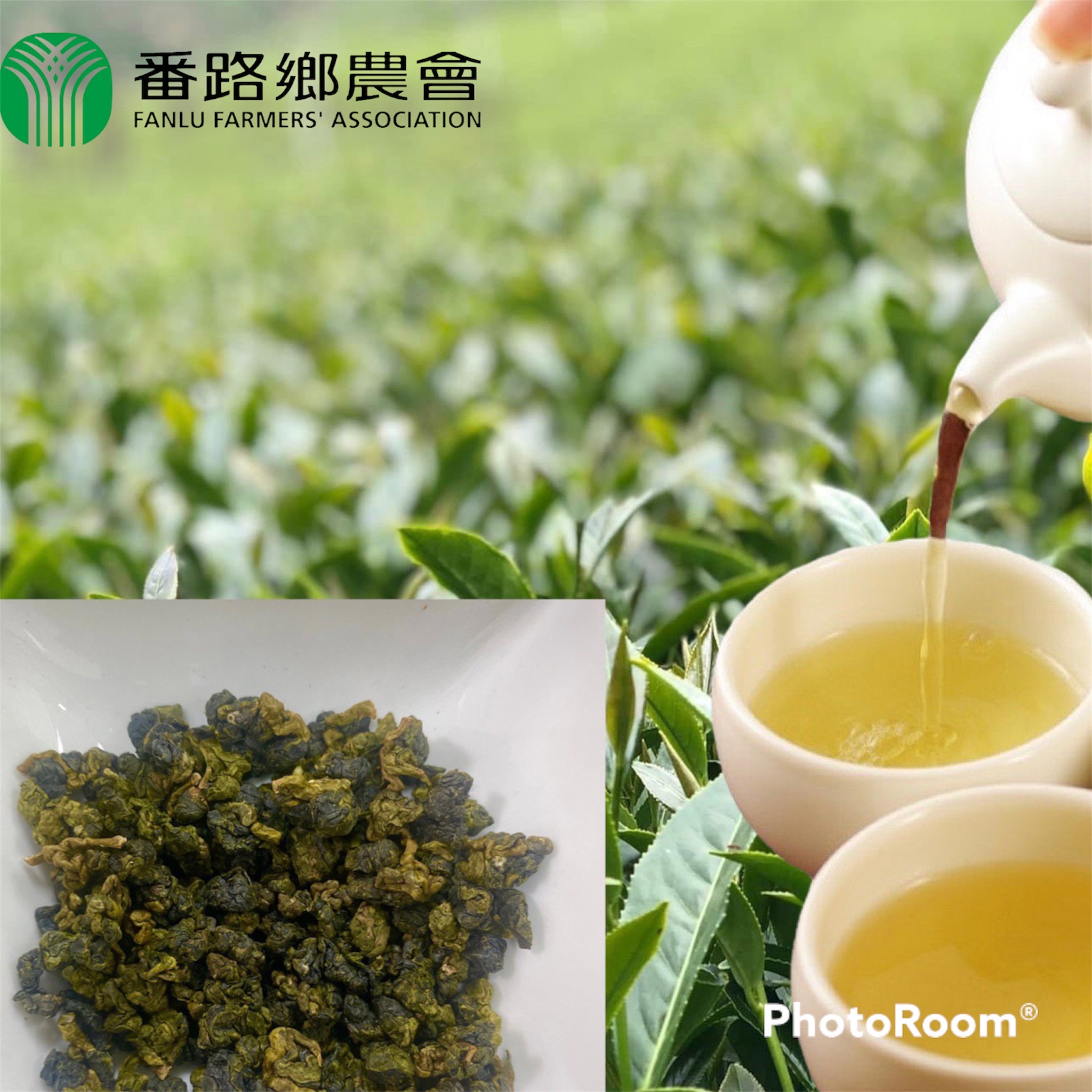 阿里山(秋季)手採(烏龍)茶葉禮盒/1斤裝