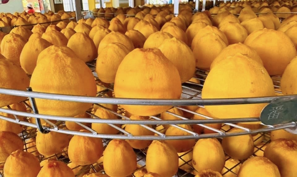 柿餅-超值經濟盒(冷凍配送)