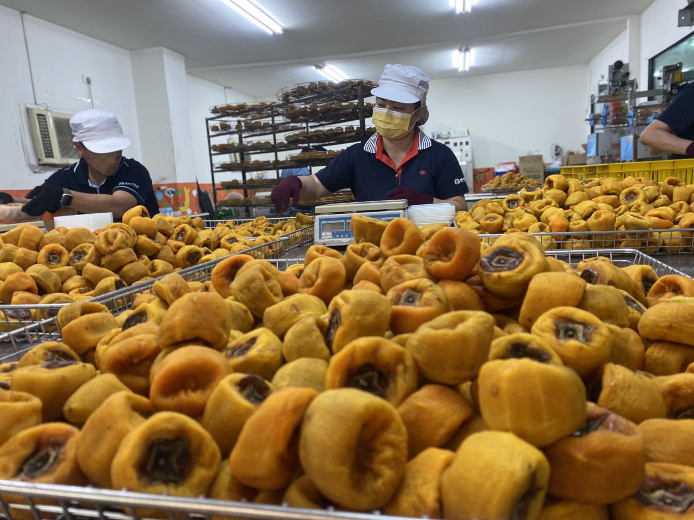 柿餅-超值經濟盒(冷凍配送)