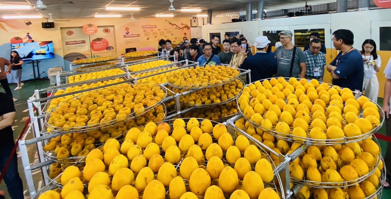 柿餅-超值經濟盒(冷凍配送)