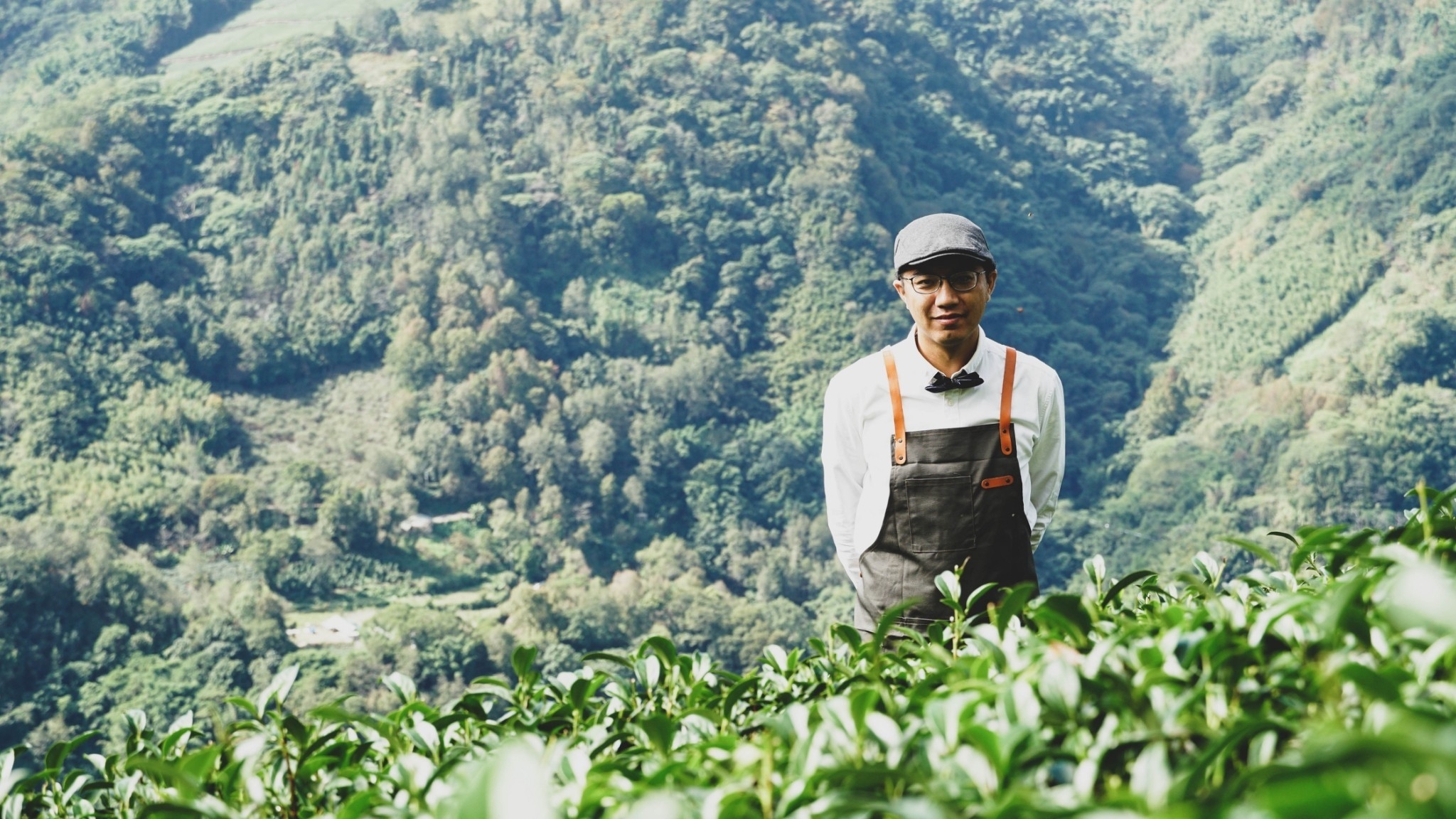 阿里山烏龍茶立體茶包/在地青農-陳薪仁