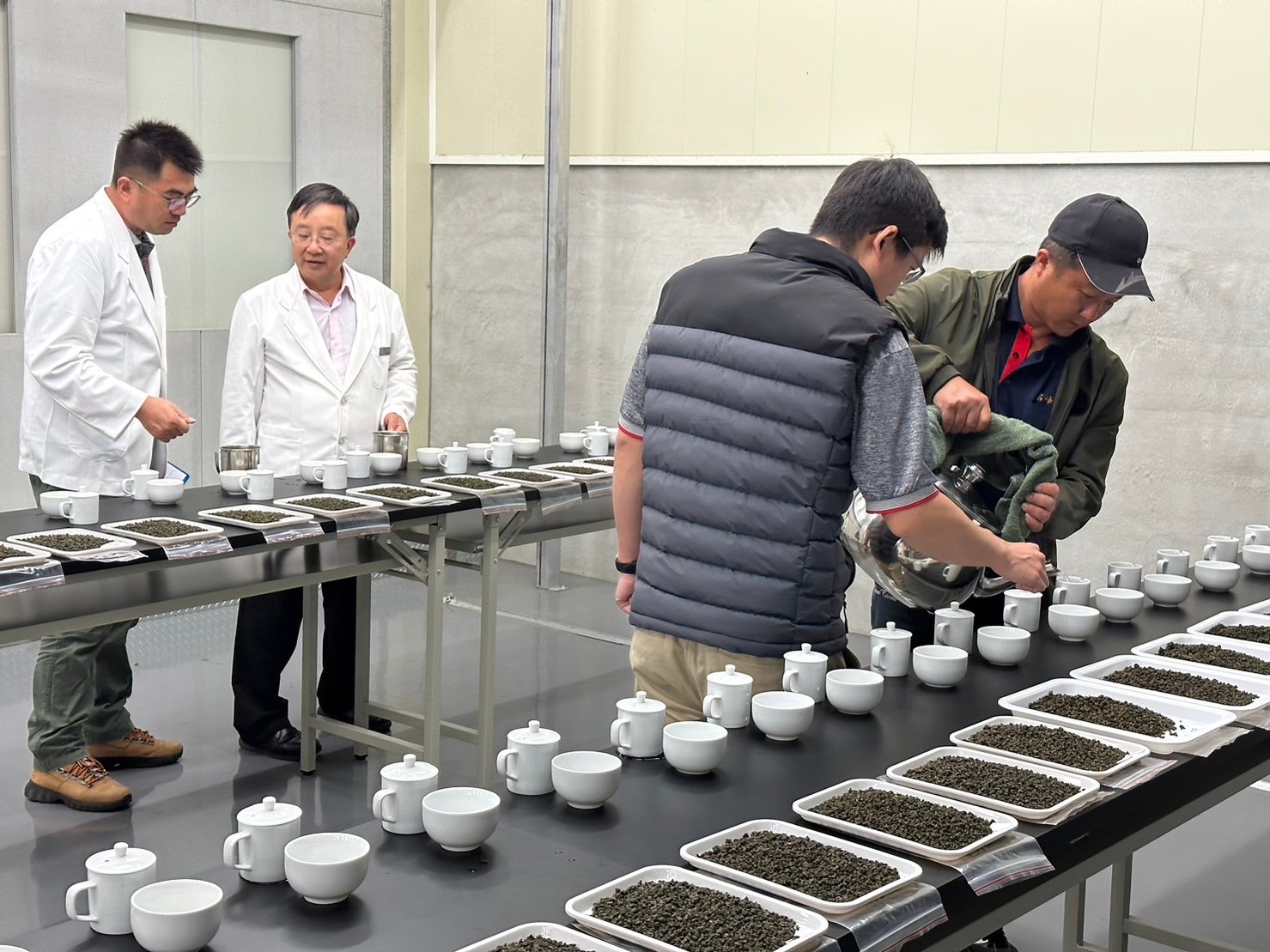 阿里山分級評鑑(烏龍冬茶)頭等獎/半斤精裝禮盒