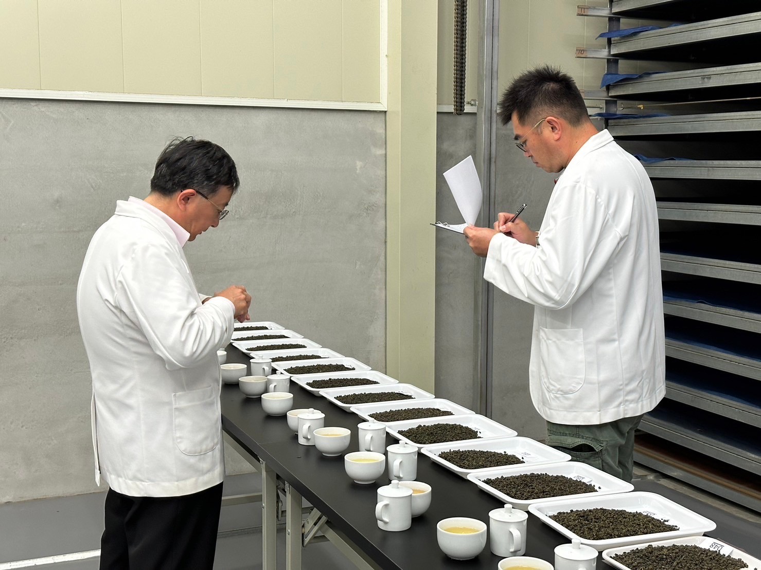 阿里山分級評鑑(烏龍冬茶)頭等獎/半斤精裝禮盒