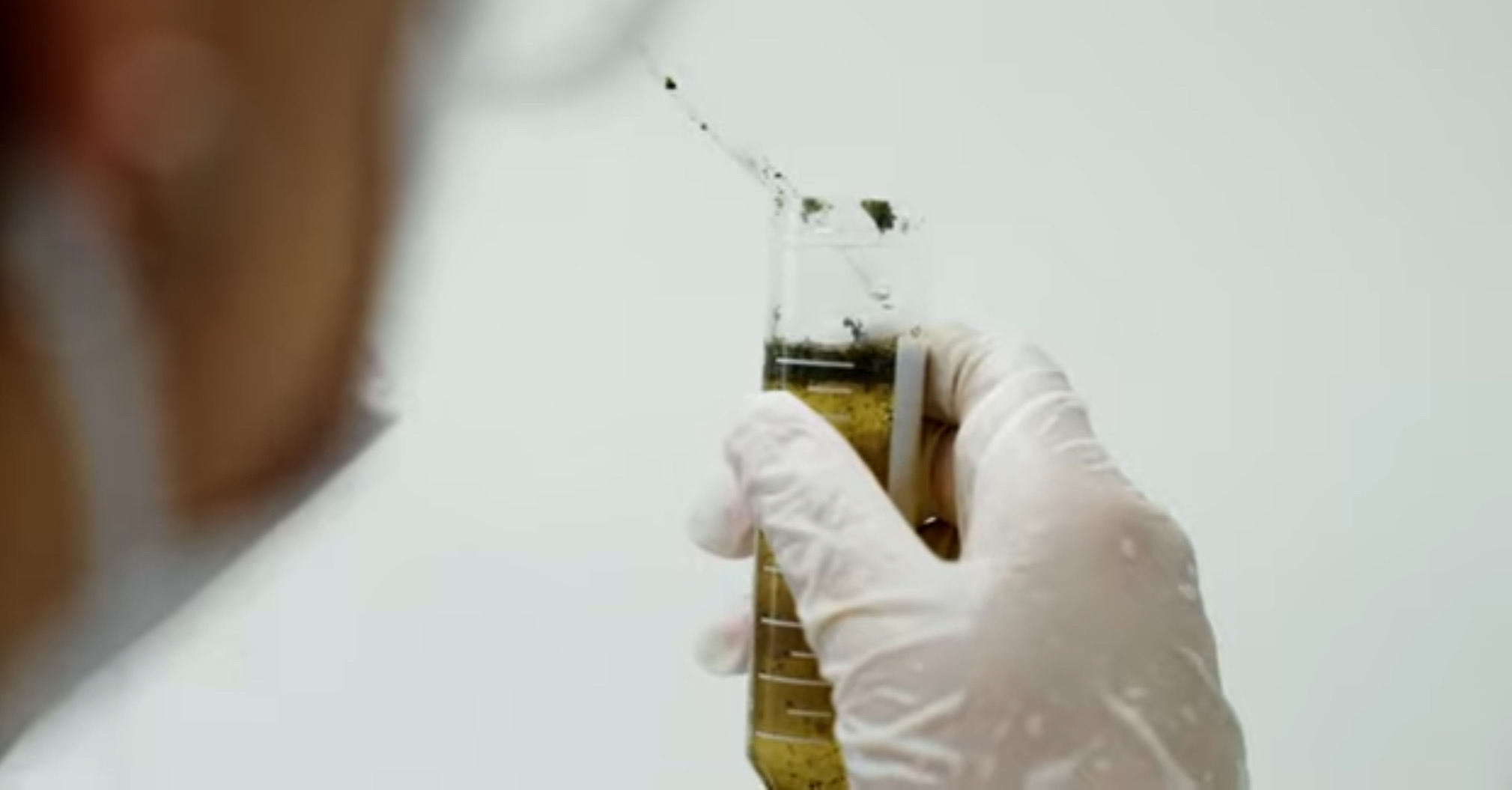 柿葉研萃 清新煥膚禮盒