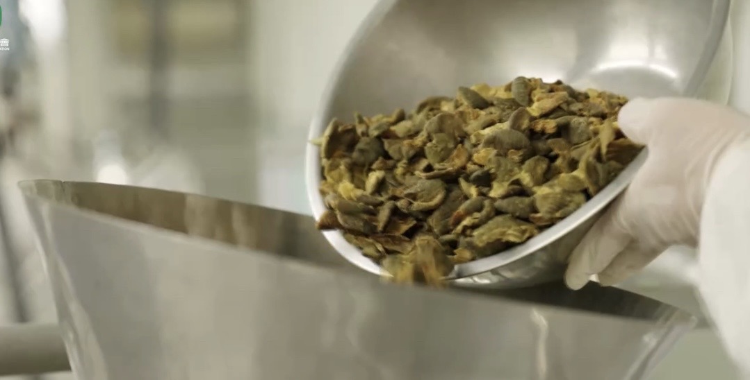 柿葉研萃 潔淨護手禮盒